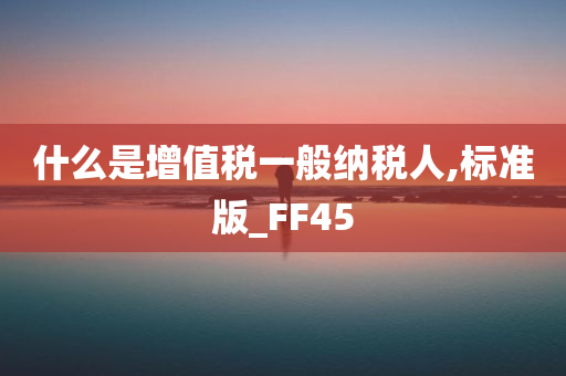 什么是增值税一般纳税人,标准版_FF45