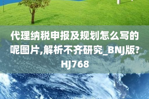 代理纳税申报及规划怎么写的呢图片,解析不齐研究_BNJ版?HJ768