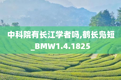 中科院有长江学者吗,鹤长凫短_BMW1.4.1825