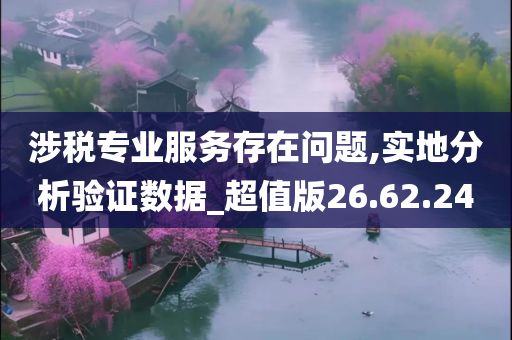 涉税专业服务存在问题,实地分析验证数据_超值版26.62.24