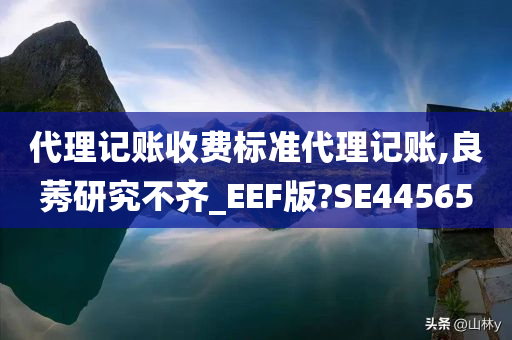 代理记账收费标准代理记账,良莠研究不齐_EEF版?SE44565