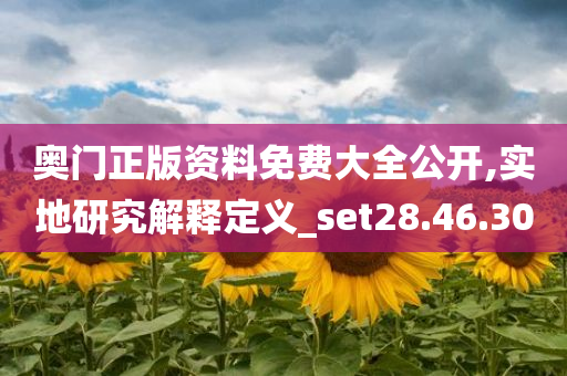 奥门正版资料免费大全公开,实地研究解释定义_set28.46.30