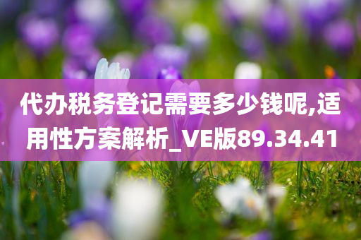 代办税务登记需要多少钱呢,适用性方案解析_VE版89.34.41