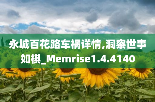 永城百花路车祸详情,洞察世事如棋_Memrise1.4.4140