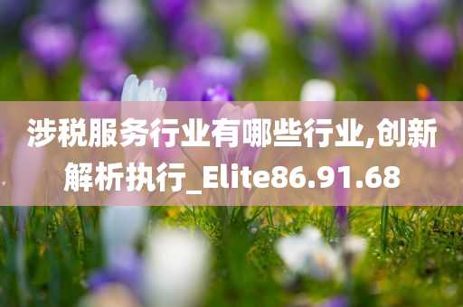 涉税服务行业有哪些行业,创新解析执行_Elite86.91.68