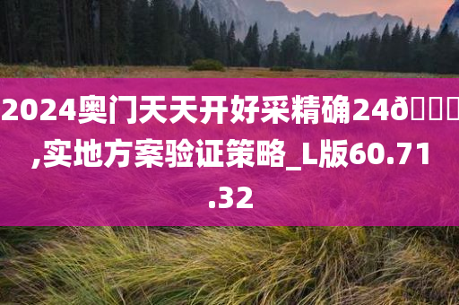 2024奥门天天开好采精确24🐎,实地方案验证策略_L版60.71.32