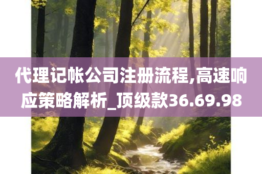 代理记帐公司注册流程,高速响应策略解析_顶级款36.69.98