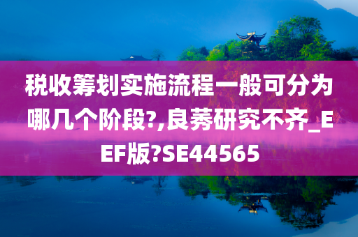 税收筹划实施流程一般可分为哪几个阶段?,良莠研究不齐_EEF版?SE44565