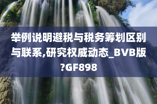 举例说明避税与税务筹划区别与联系,研究权威动态_BVB版?GF898