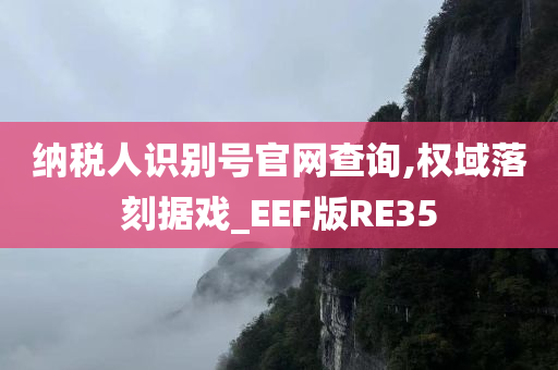 纳税人识别号官网查询,权域落刻据戏_EEF版RE35