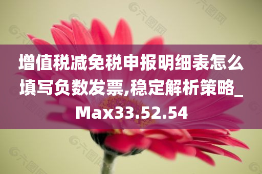 增值税减免税申报明细表怎么填写负数发票,稳定解析策略_Max33.52.54