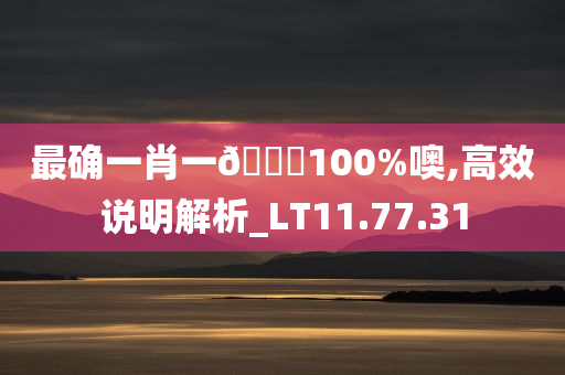 最确一肖一🐎100%噢,高效说明解析_LT11.77.31