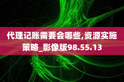 代理记账需要会哪些,资源实施策略_影像版98.55.13