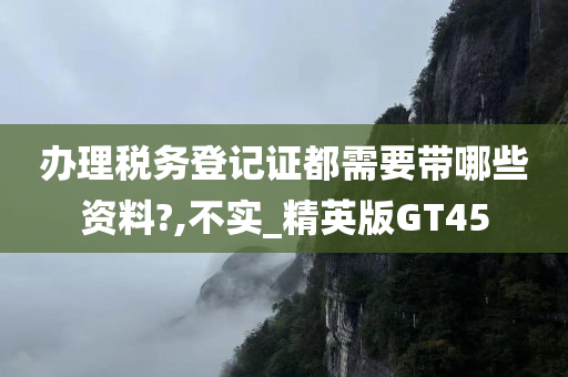 办理税务登记证都需要带哪些资料?,不实_精英版GT45