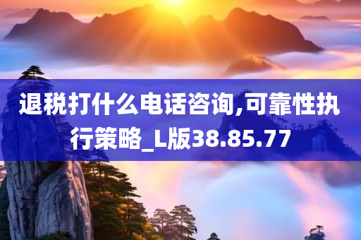 退税打什么电话咨询,可靠性执行策略_L版38.85.77