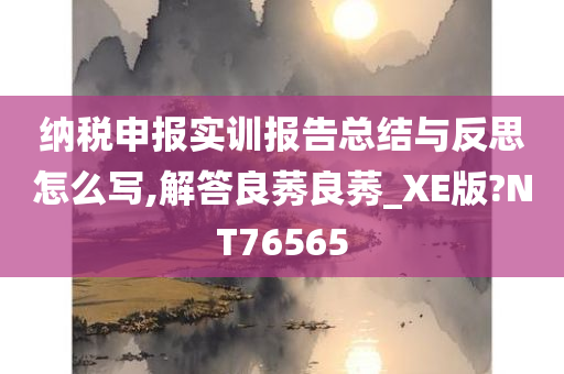 纳税申报实训报告总结与反思怎么写,解答良莠良莠_XE版?NT76565