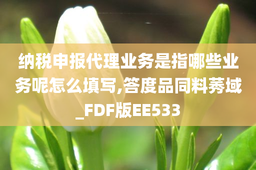 纳税申报代理业务是指哪些业务呢怎么填写,答度品同料莠域_FDF版EE533