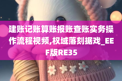 建账记账算账报账查账实务操作流程视频,权域落刻据戏_EEF版RE35