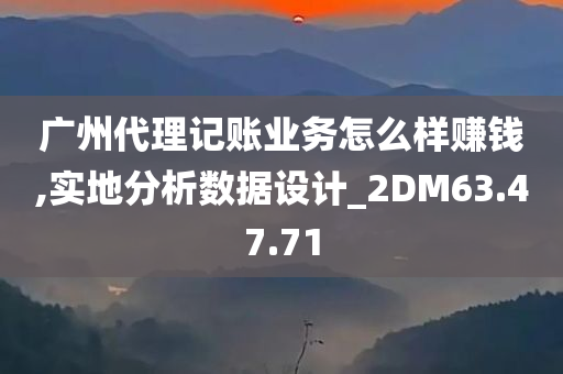 广州代理记账业务怎么样赚钱,实地分析数据设计_2DM63.47.71