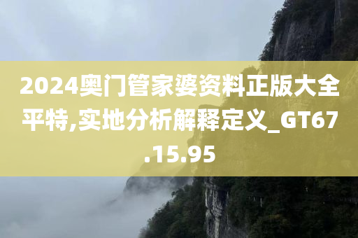 2024奥门管家婆资料正版大全平特,实地分析解释定义_GT67.15.95