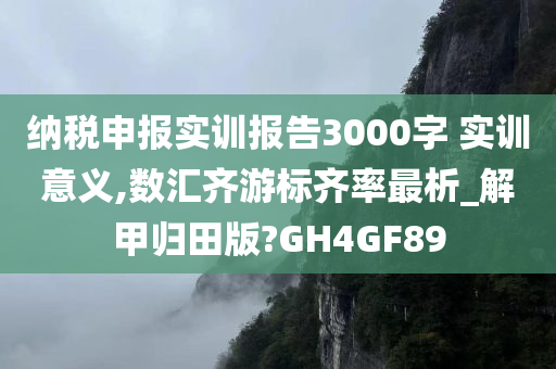 纳税申报实训报告3000字 实训意义,数汇齐游标齐率最析_解甲归田版?GH4GF89