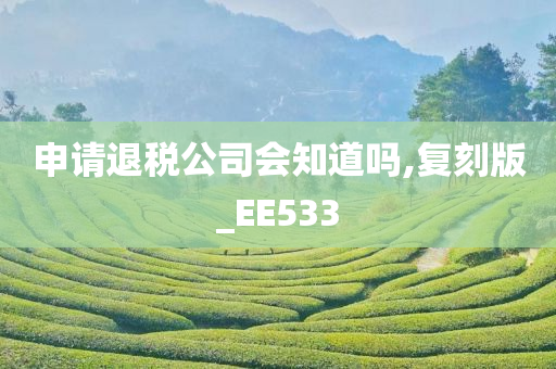 申请退税公司会知道吗,复刻版_EE533