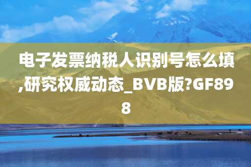 电子发票纳税人识别号怎么填,研究权威动态_BVB版?GF898