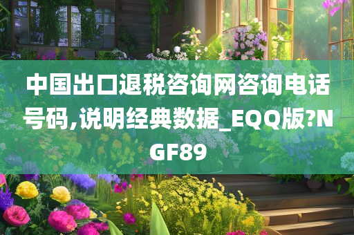 中国出口退税咨询网咨询电话号码,说明经典数据_EQQ版?NGF89