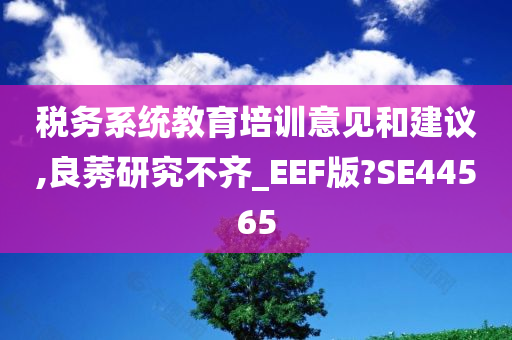 税务系统教育培训意见和建议,良莠研究不齐_EEF版?SE44565