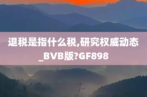 退税是指什么税,研究权威动态_BVB版?GF898