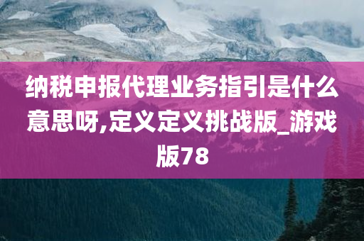 纳税申报代理业务指引是什么意思呀,定义定义挑战版_游戏版78