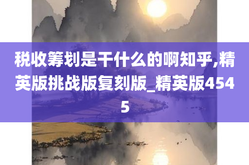 税收筹划是干什么的啊知乎,精英版挑战版复刻版_精英版4545