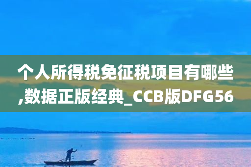 个人所得税免征税项目有哪些,数据正版经典_CCB版DFG56