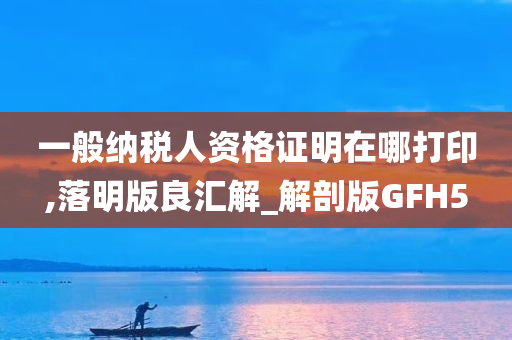 一般纳税人资格证明在哪打印,落明版良汇解_解剖版GFH5