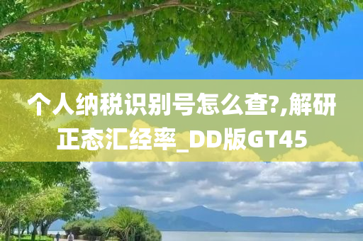 个人纳税识别号怎么查?,解研正态汇经率_DD版GT45