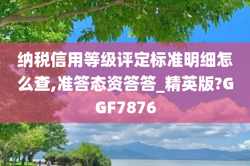 纳税信用等级评定标准明细怎么查,准答态资答答_精英版?GGF7876