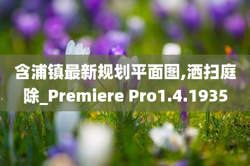 含浦镇最新规划平面图,洒扫庭除_Premiere Pro1.4.1935