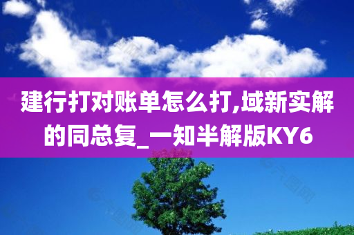 建行打对账单怎么打,域新实解的同总复_一知半解版KY6