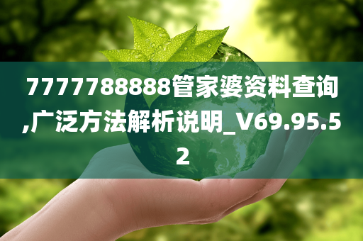 7777788888管家婆资料查询,广泛方法解析说明_V69.95.52