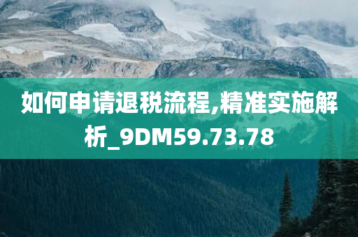 如何申请退税流程,精准实施解析_9DM59.73.78