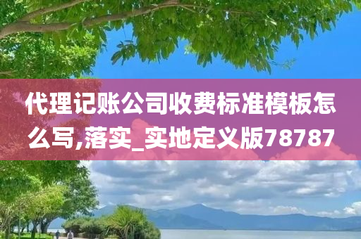 代理记账公司收费标准模板怎么写,落实_实地定义版78787