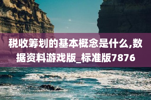 税收筹划的基本概念是什么,数据资料游戏版_标准版7876