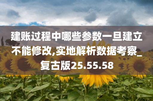 建账过程中哪些参数一旦建立不能修改,实地解析数据考察_复古版25.55.58