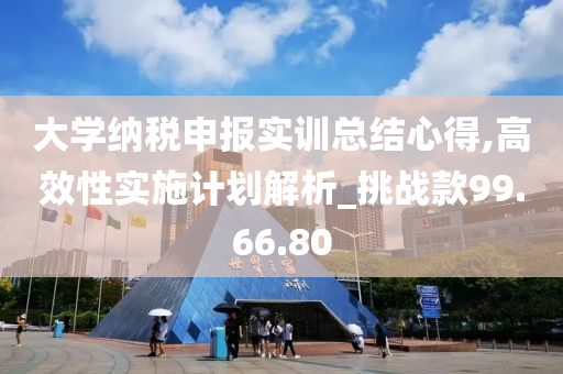 大学纳税申报实训总结心得,高效性实施计划解析_挑战款99.66.80