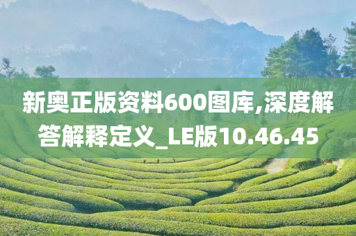 新奥正版资料600图库,深度解答解释定义_LE版10.46.45