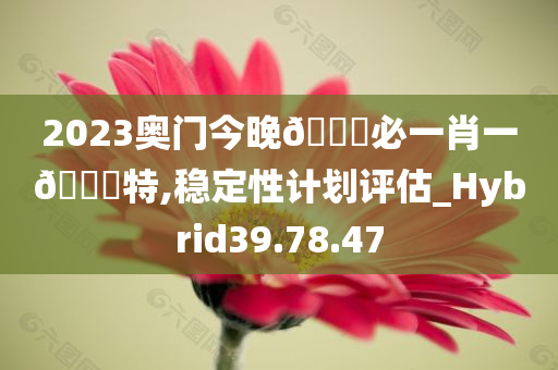 2023奥门今晚🀄必一肖一🀄特,稳定性计划评估_Hybrid39.78.47