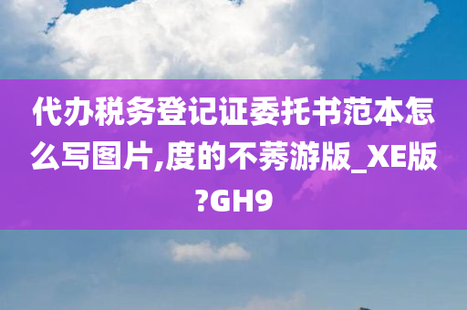 代办税务登记证委托书范本怎么写图片,度的不莠游版_XE版?GH9