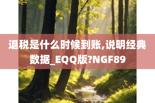 退税是什么时候到账,说明经典数据_EQQ版?NGF89