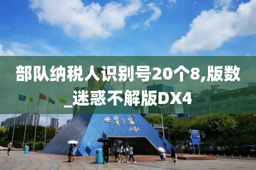 部队纳税人识别号20个8,版数_迷惑不解版DX4