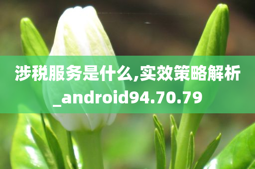 涉税服务是什么,实效策略解析_android94.70.79